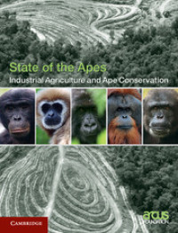 Image of Industrial agriculture and ape conservation