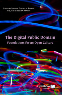 Image of The digital public domain :foundations for an open culture