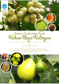 Image of Koleksi tumbuhan buah kebun raya Katingan