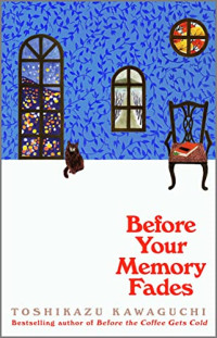 Image of Before Your Memory Fades