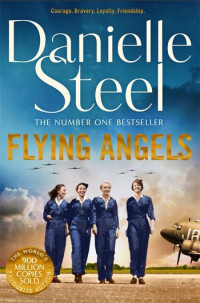 Image of Flying Angels