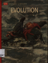 Image of Evolution