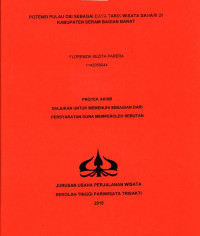 Image of POTENSI PULAU OSI SEBAGAI DAYA TARIK WISATA BAHARI DI KABUPATEN SERAM BAGIAN BARAT