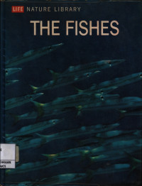 Image of The Fishes